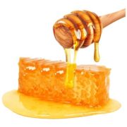 Organic Honey Fasilis
